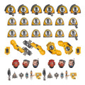 W40K - Combat Patrol - Imperial Fists 2