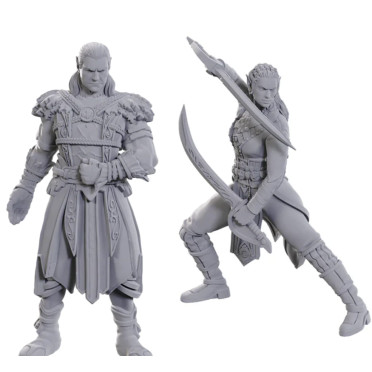 D&D Nolzur's Marvelous Miniatures: Special Edition Baldur's Gate 3 - Jaheira & Halsin
