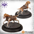 Carnevale - Great Game Hunt 7