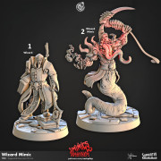 Cast n Play - Chaos de Mimics - Sorcier