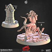 Cast n Play - Chaos de Mimics - Tombe