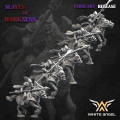 White Angel Miniatures - Slave to Darkness - Edgar Rider with EMC 4