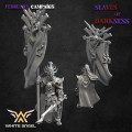 White Angel Miniatures - Slave to Darkness - Dark Standard Bearer 1
