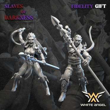 White Angel Miniatures - Slave to Darkness - Dark Beast Tamer