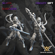White Angel Miniatures - Slave to Darkness - Dark Beast Tamer