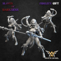 White Angel Miniatures - Slave to Darkness - Dark Beast Tamer 2