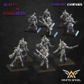 White Angel Miniatures - Slave to Darkness - Shadow 2