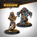 Warmachine - Khador Old Umbrey Auxiliary Expansion 8