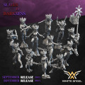 White Angel Miniatures - Slave to Darkness - Daugther of the Shadow Realm with EMC 1