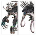 W40K : Combat Patrol - Drukhari 4