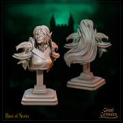 Great Grimoire - Buste - Svein