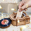 CluePuzzle - Record Player 2