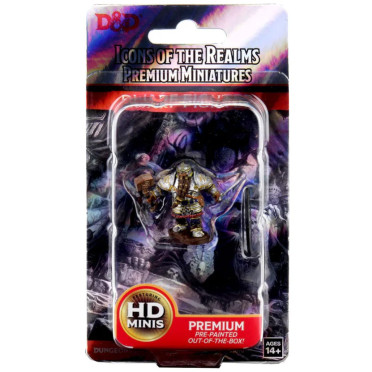 D&D Icons of the Realms Premium Figures - Dwarf Male Fighter