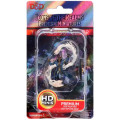D&D Icons of the Realms Premium Figures - Tiefling Male Sorcerer 0