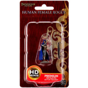 Pathfinder Battles Premium Painted Figures - Human Rogue Female