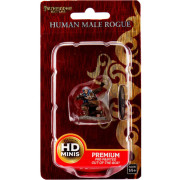 Pathfinder Battles Premium Painted Figures - Human Rogue Male