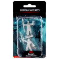 D&D Nolzur's Marvelous Unpainted Miniatures: Human Wizard Male 0