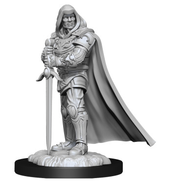 D&D Nolzur's Marvelous Unpainted Miniatures: Human Paladin Male
