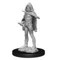 D&D Nolzur's Marvelous Unpainted Miniatures: Darkling Elder & Darklings 1