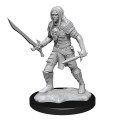 D&D Nolzur's Marvelous Unpainted Miniatures: Elf Fighter Male 0