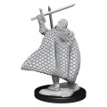 D&D Nolzur's Marvelous Unpainted Miniatures: Elf Fighter Male 1
