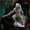 The Beholder Miniatures - Sylvains - Beast Masters 3