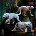 The Beholder Miniatures - Sylvains - Beast Masters 26