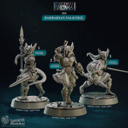 Cast n Play - Northwind Vikings - Valkyries