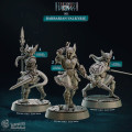 Cast n Play - Northwind Vikings - Valkyries 2