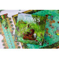 Feya's Swamp 2