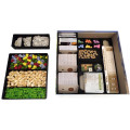 Insert compatible avec Earth et extension Abondance 2