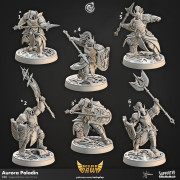 Cast n Play - Boucliers de l'Aube - Paladins de l'Aurore