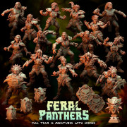 Amazons Team - Feral Panthers