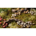 Basing Bits - Forest Mushrooms 1