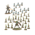 Age of Sigmar : Battleforce Sylvaneth - Fielbosquet de Parias 1