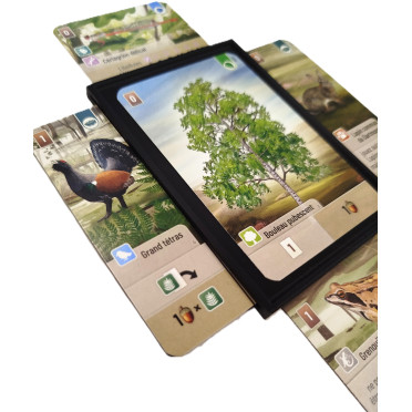 32x Porte-cartes compatible avec Forêt Mixte et Forêt Mixte : Dartmoor