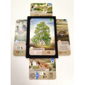 32x Porte-cartes compatible avec Forêt Mixte et Forêt Mixte : Dartmoor 1
