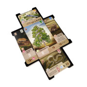 Grille de placement compatible avec Forêt Mixte et Forêt Mixte : Dartmoor