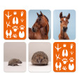 Où est mon petit ? Le memory des animaux 2