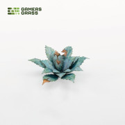 Laser Plants - Blue Agave