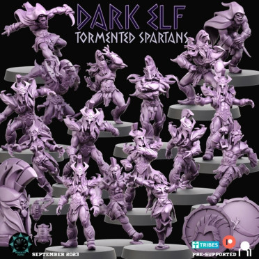 Dark Elf Team - Tormented Spartans