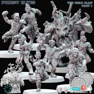 The Bear Clan - Forest Elves Team
