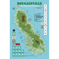 Bougainville: The Forgotten Campaign 2