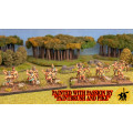 Rise Miniatures - Wars of Antiquity - Pack Armée Etrusque Complète DBA et Core Set AdG 15mm 4