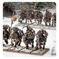 Warhammer - The Old World : Chaos Marauder Horsemen 4