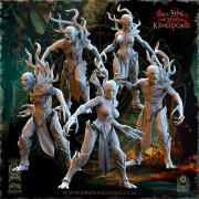 The Beholder Miniatures - Sylvains - Invocations des Bois