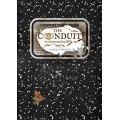The Conduit 0