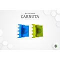 Porte-cartes compatible Carnuta 1
