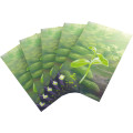 Premium Art Sleeves - Forest Shuffle 1