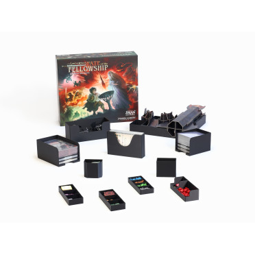 Insert for The Lord of the Rings: Fate of the Fellowship